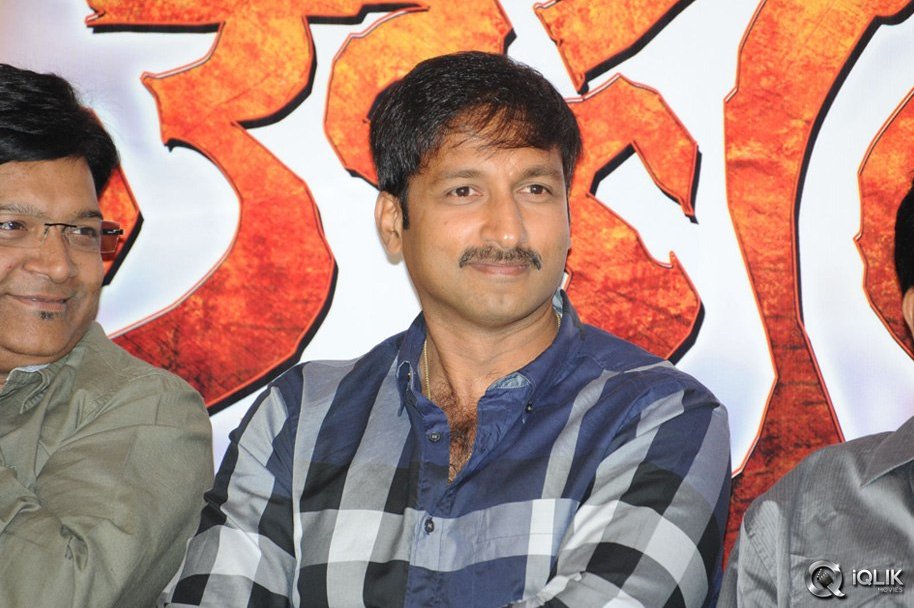 Loukyam-Movie-Platinum-Disc-Function